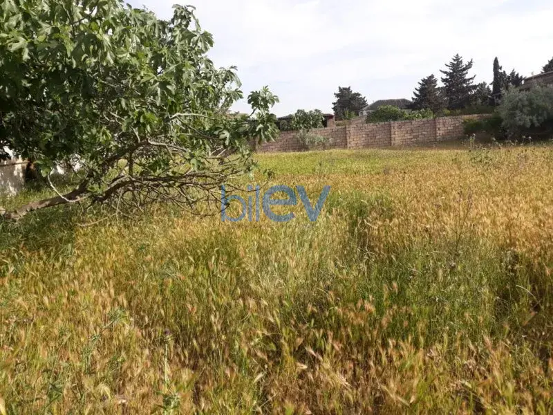 Satılır  otaqlı Torpaq  10m², Bakı