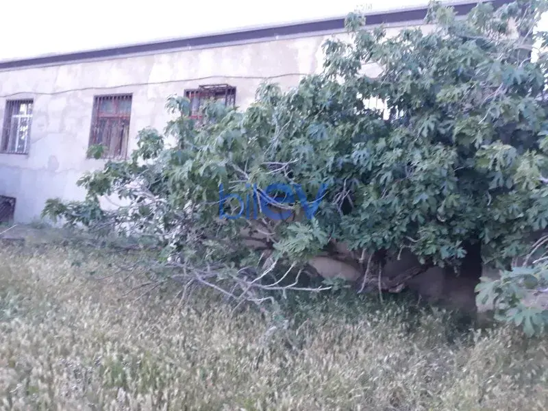 Satılır  otaqlı Torpaq  10m², Bakı