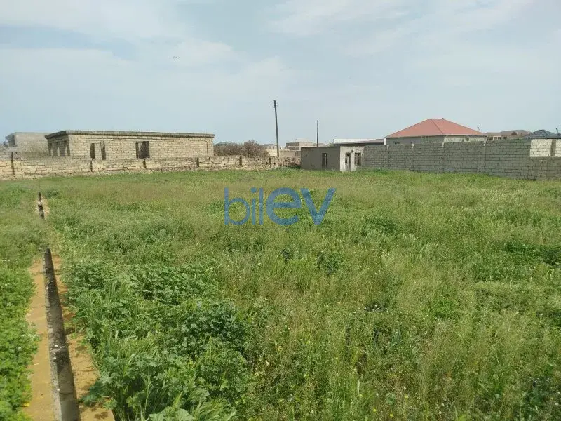 Satılır  otaqlı Torpaq  2000m², Bakı