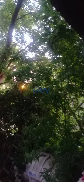 Satış 2 otaqlı Köhnə Tikili bina evi  50m², Bakı
