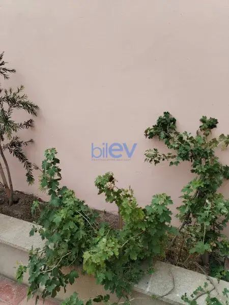 Satış 3 otaqlı Həyət evi  1700m², Bakı