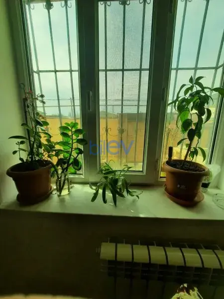 Satış 3 otaqlı Həyət evi  90m², Bakı