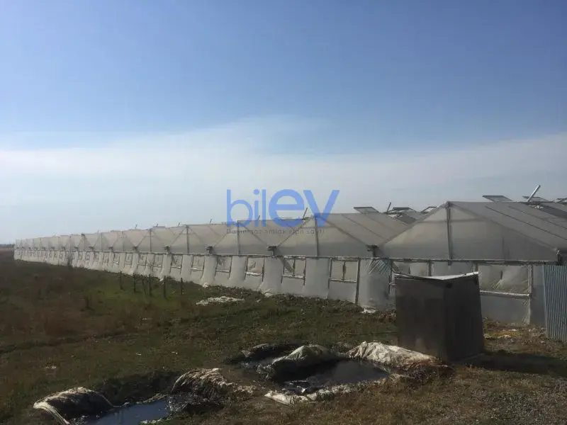 Satış 1 otaqlı Torpaq  10000m², Bakı