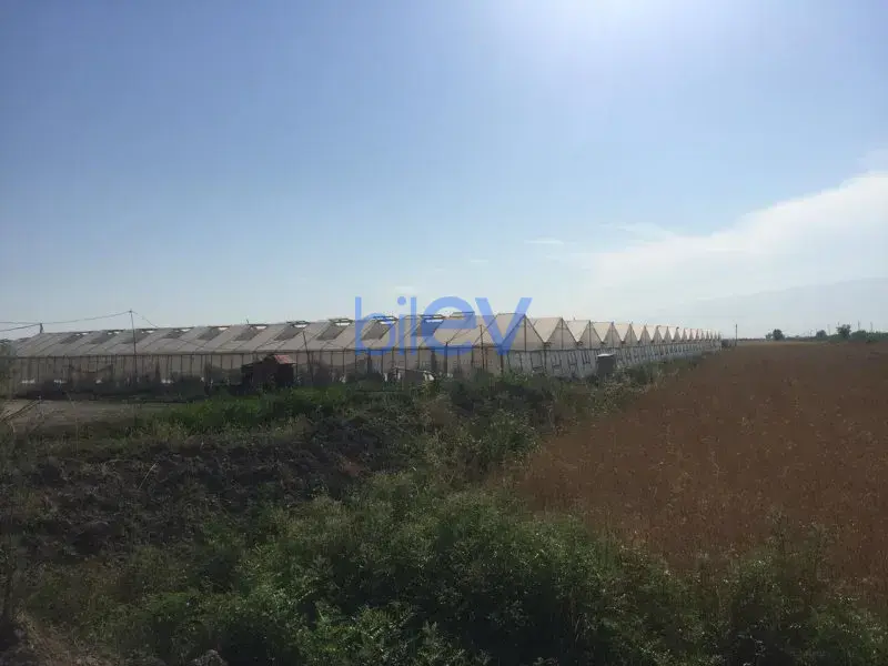 Satış 1 otaqlı Torpaq  10000m², Bakı