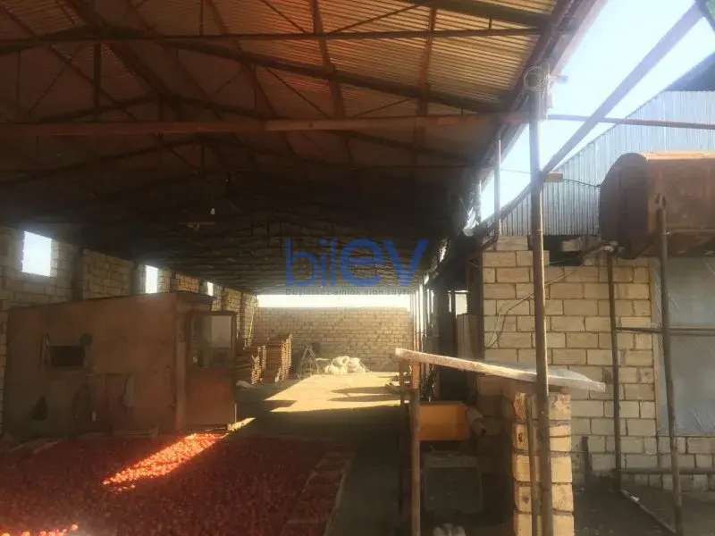 Satış 1 otaqlı Torpaq  10000m², Bakı