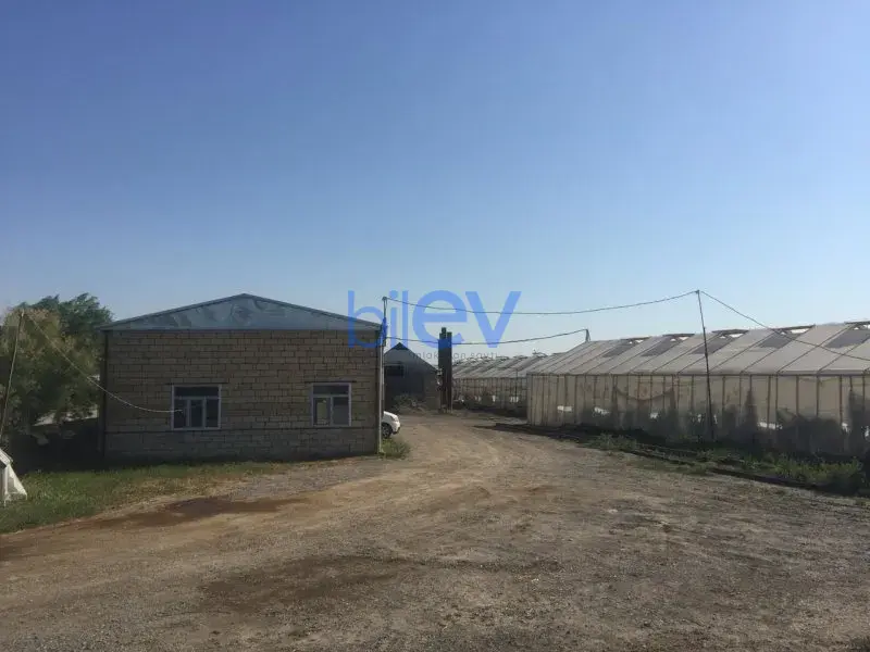 Satış 1 otaqlı Torpaq  10000m², Bakı