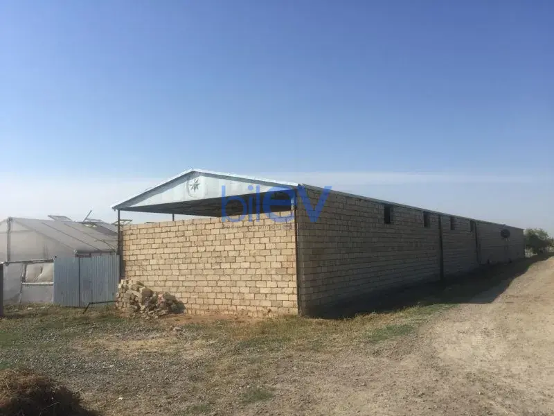 Satış 1 otaqlı Torpaq  10000m², Bakı