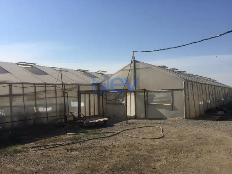 Satış 1 otaqlı Torpaq  10000m², Bakı