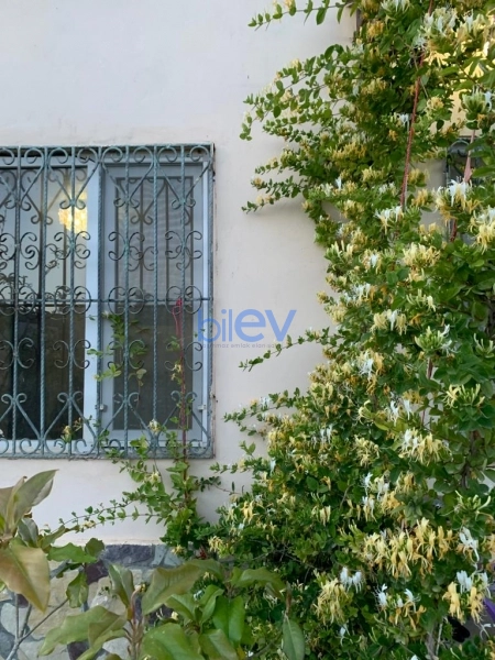Satış 3 otaqlı Bağ evi  120m², Bakı