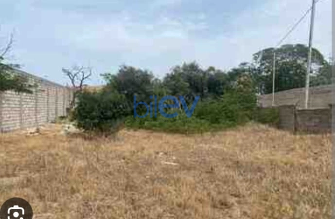 Satış  otaqlı Torpaq  1m², Bakı