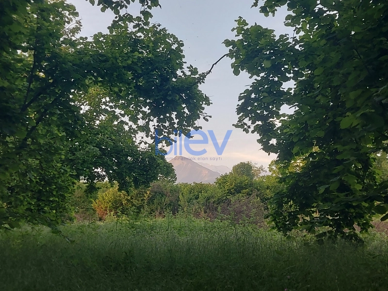 Satış 0 otaqlı Torpaq  21m², Qəbələ