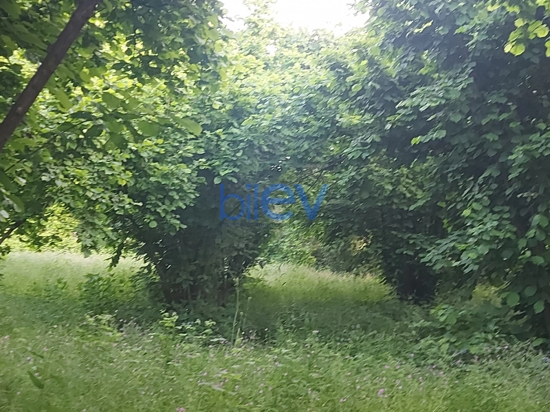 Satış 0 otaqlı Torpaq  21m², Qəbələ