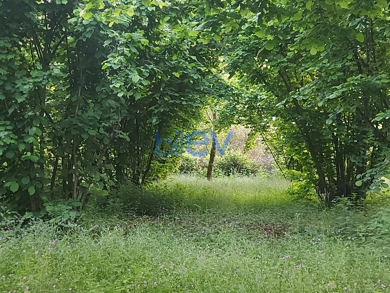 Satış 0 otaqlı Torpaq  21m², Qəbələ