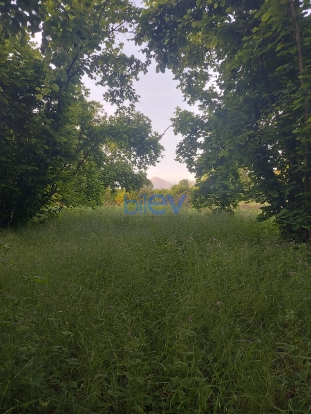 Satış 0 otaqlı Torpaq  21m², Qəbələ