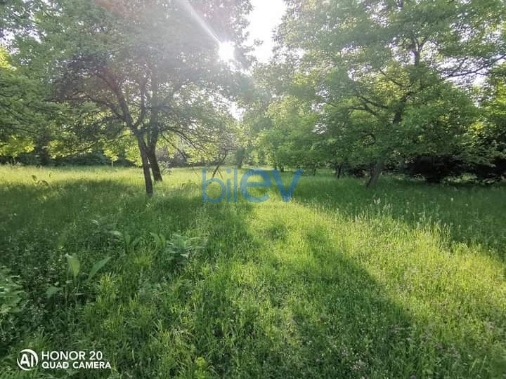 Satış  otaqlı Torpaq  15m², Qəbələ