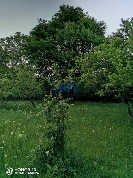 Satış  otaqlı Torpaq  15m², Qəbələ