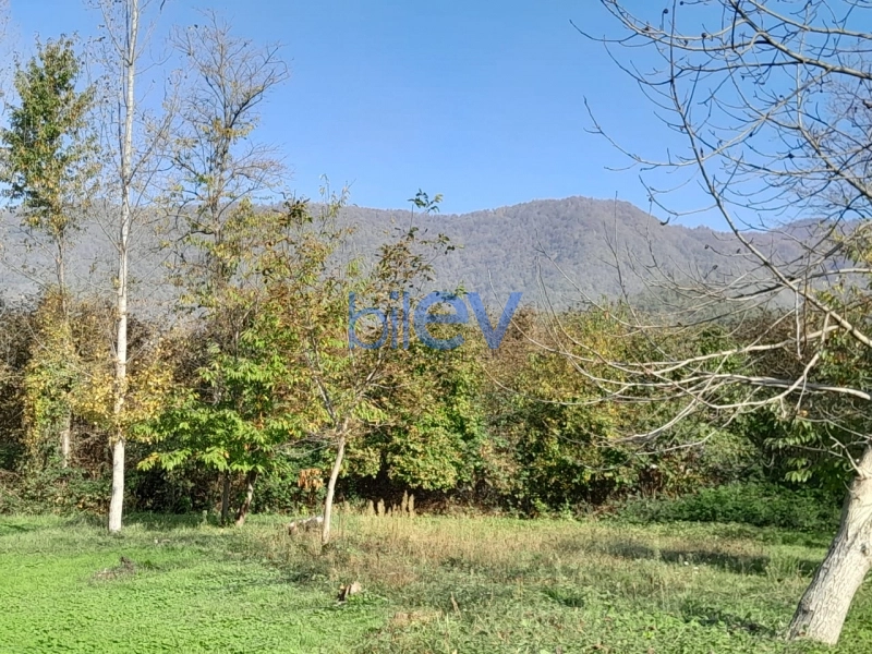 Satış  otaqlı Torpaq  15m², Qəbələ