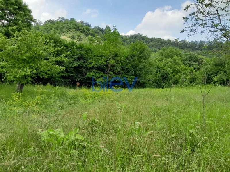 Satış  otaqlı Torpaq  15m², Qəbələ