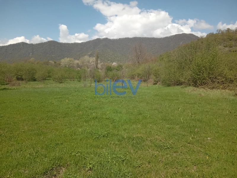 Satış  otaqlı Torpaq  15m², Qəbələ