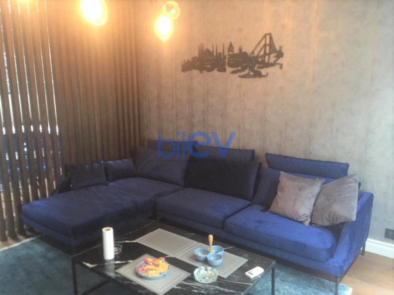 Aylıq Kirayə 2 otaqlı Yeni Tikili bina evi  70m², Bakı