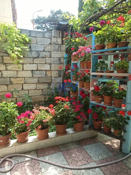 Satış 6 otaqlı Həyət evi  75m², Bakı