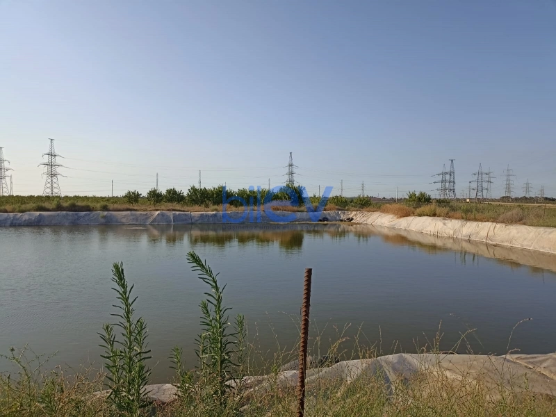 Satış  otaqlı Torpaq  3000m², Bakı