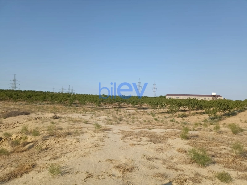Satış  otaqlı Torpaq  3000m², Bakı