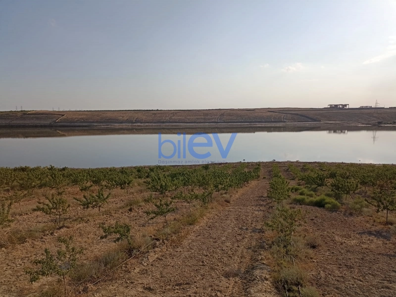 Satış  otaqlı Torpaq  3000m², Bakı