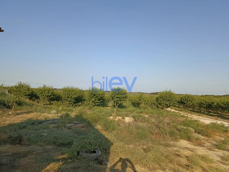 Satış  otaqlı Torpaq  3000m², Bakı