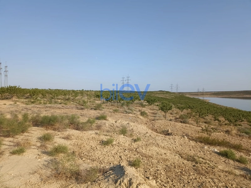 Satış  otaqlı Torpaq  3000m², Bakı