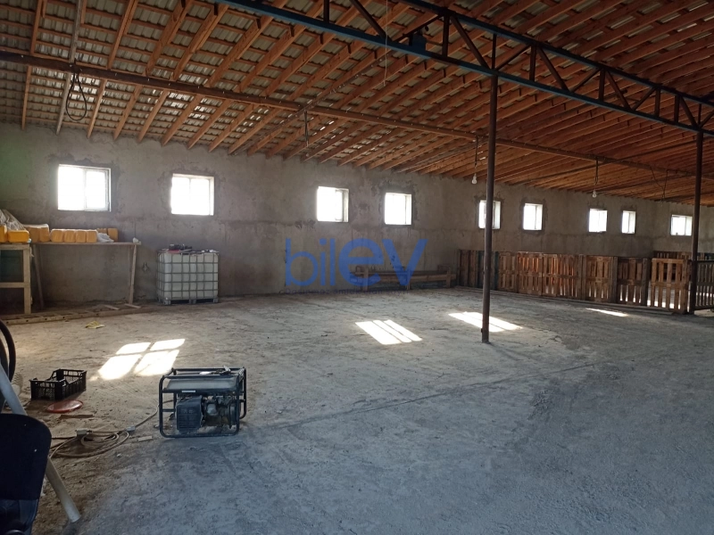 Satış  otaqlı Torpaq  3000m², Bakı
