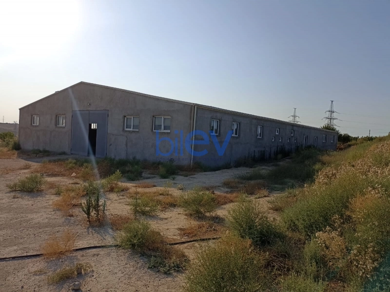 Satış  otaqlı Torpaq  3000m², Bakı