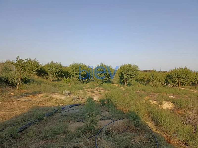 Satış  otaqlı Torpaq  3000m², Bakı