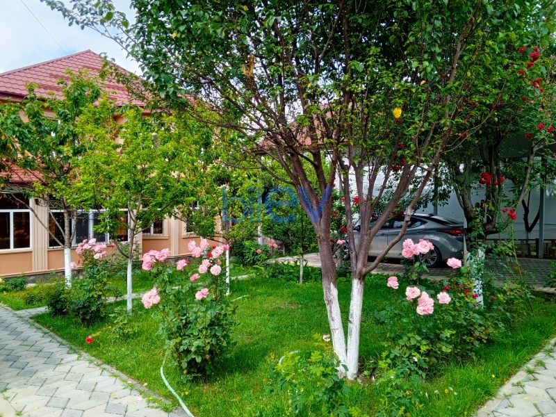 Günlük Kirayə 5 otaqlı Villa  180m², Qəbələ