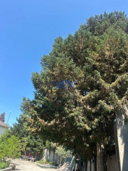 Satış 5 otaqlı Bağ evi  200m², Bakı