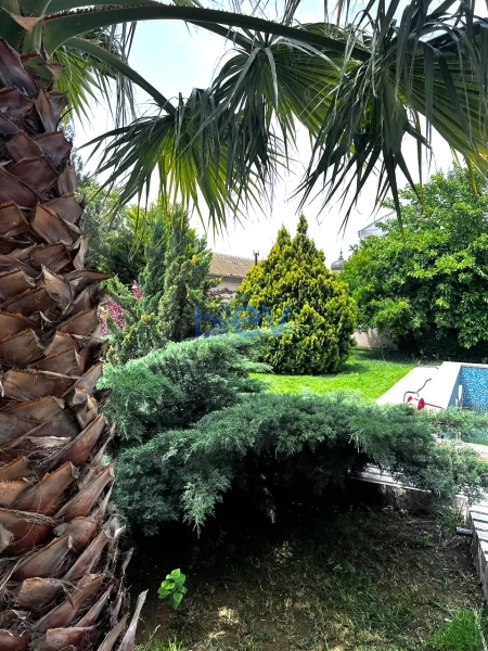 Aylıq Kirayə 4 otaqlı Bağ evi  250m², Bakı
