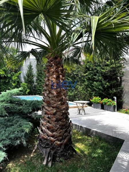 Aylıq Kirayə 4 otaqlı Bağ evi  250m², Bakı
