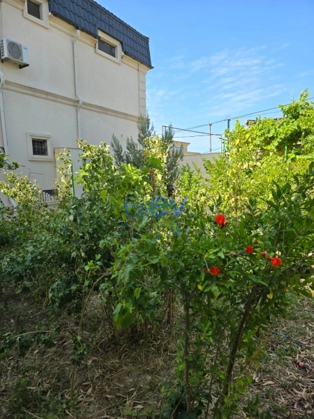 Aylıq Kirayə 5 otaqlı Bağ evi  212m², Bakı