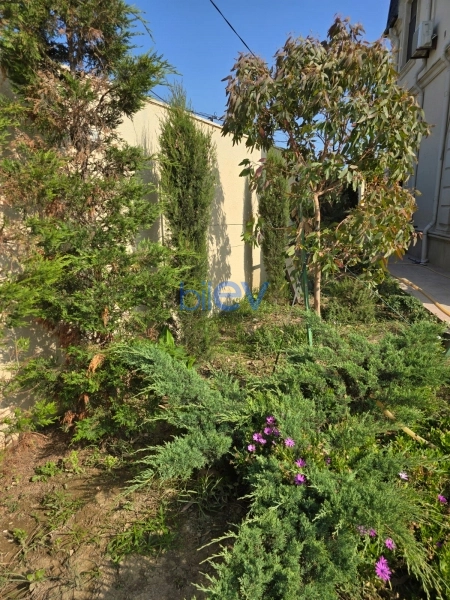 Aylıq Kirayə 5 otaqlı Bağ evi  212m², Bakı