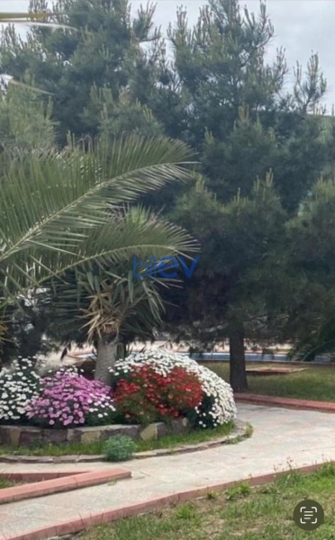 Aylıq Kirayə 5 otaqlı Bağ evi  240m², Bakı