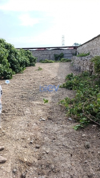 Satış  otaqlı Torpaq  16m², Bakı
