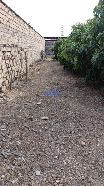 Satış  otaqlı Torpaq  16m², Bakı