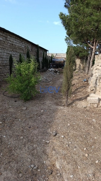 Satış  otaqlı Torpaq  16m², Bakı