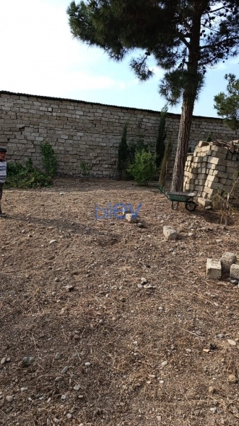 Satış  otaqlı Torpaq  16m², Bakı