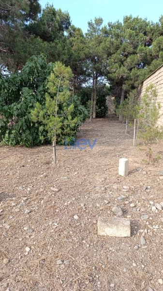 Satış  otaqlı Torpaq  16m², Bakı