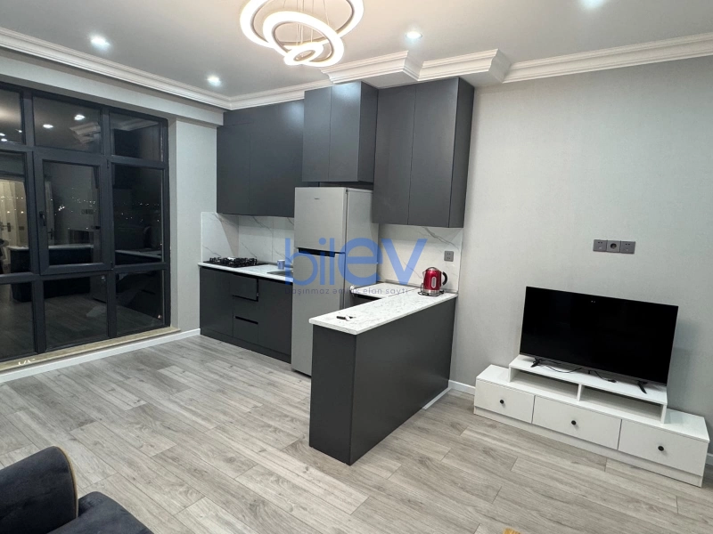 Aylıq Kirayə 2 otaqlı Yeni Tikili bina evi  84m², Bakı