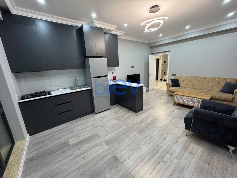 Aylıq Kirayə 2 otaqlı Yeni Tikili bina evi  84m², Bakı