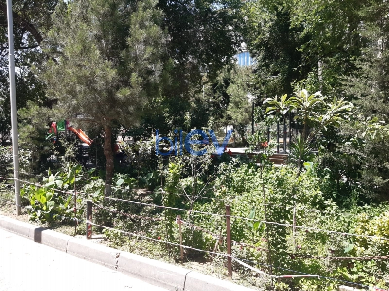 Aylıq Kirayə 3 otaqlı Köhnə Tikili bina evi  70m², Bakı