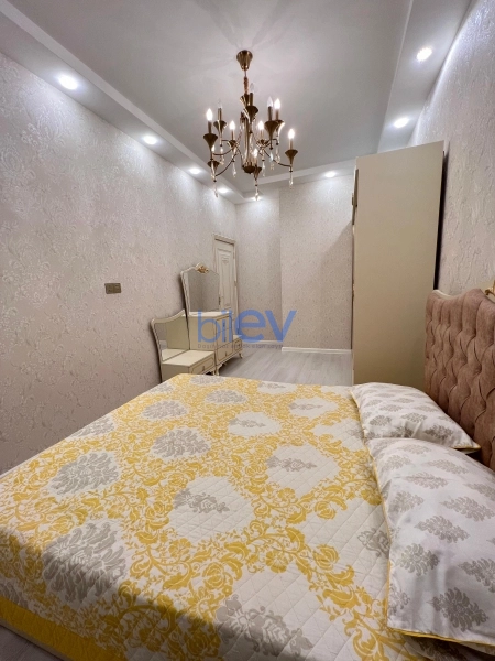 Aylıq Kirayə 2 otaqlı Yeni Tikili bina evi  55m², Bakı