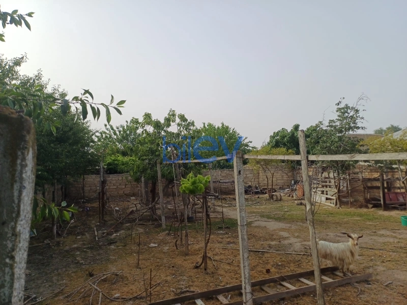 Aylıq Kirayə 2 otaqlı Köhnə Tikili bina evi  m², Bakı